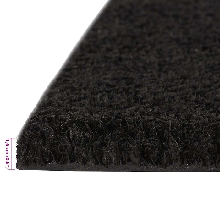 Covoraș de ușă, 2 buc., negru, 40x60 cm, fibre de cocos - WALTI WALTI