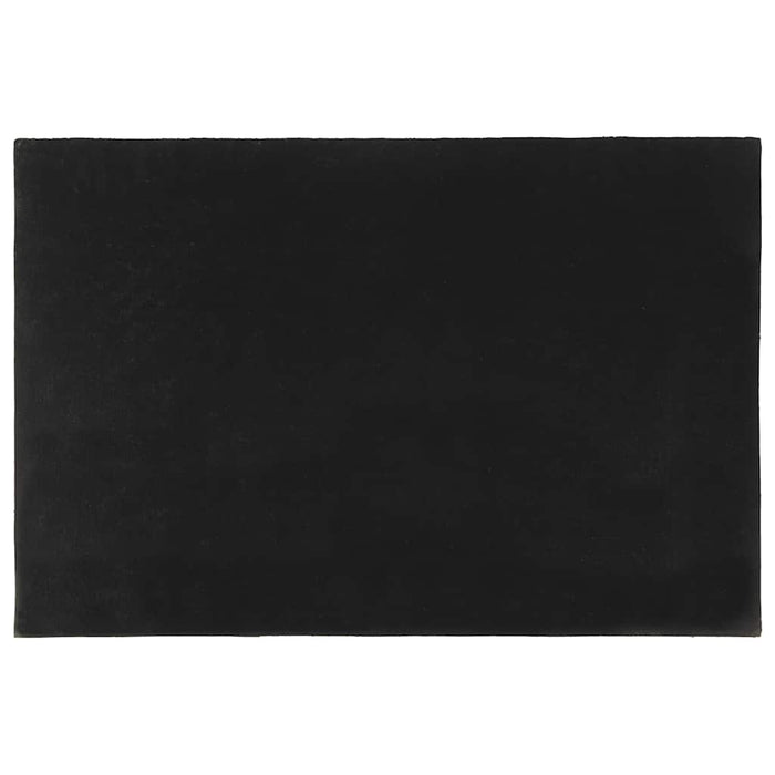 Covoraș de ușă, negru, 60x90 cm, fibre de cocos - WALTI WALTI