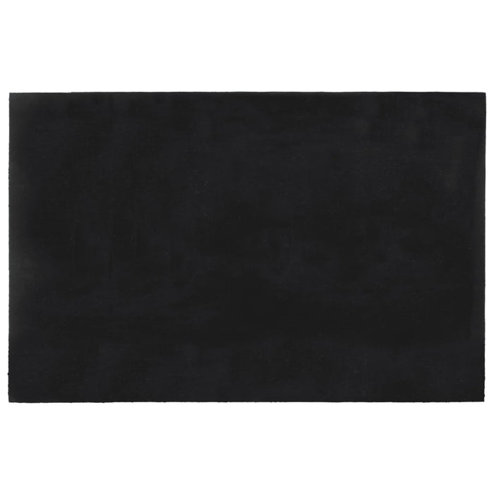 Covoraș de ușă, Gri închis, 65x100 cm, fibre de cocos - WALTI WALTI