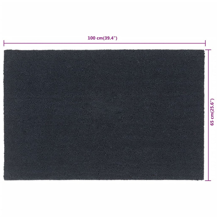 Covoraș de ușă, Gri închis, 65x100 cm, fibre de cocos - WALTI WALTI