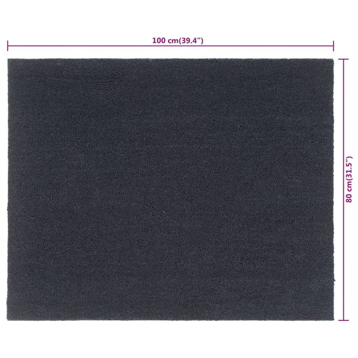 Covoraș de ușă, Gri închis, 80x100 cm, fibre de cocos - WALTI WALTI