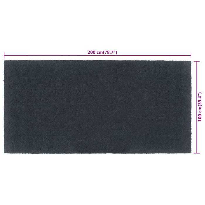 Covoraș de ușă, Gri închis, 100x200 cm, fibre de cocos - WALTI WALTI