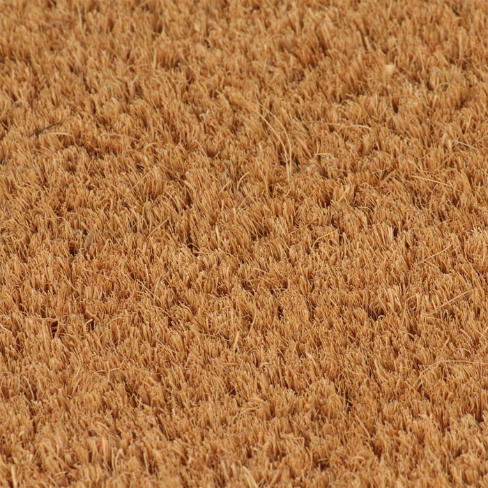 Covoraș de ușă, natural, 40x60 cm, fibre de cocos - WALTI WALTI