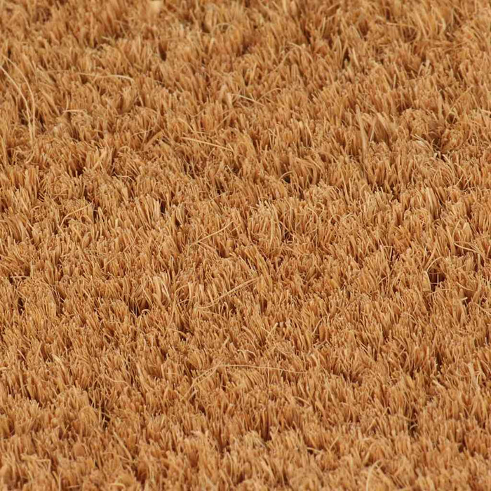 Covoraș de ușă natural, 90x150 cm, fibre de cocos - WALTI WALTI