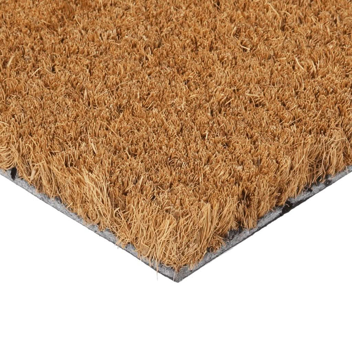Covoraș de ușă, natural, 40x60 cm, fibre de cocos - WALTI WALTI