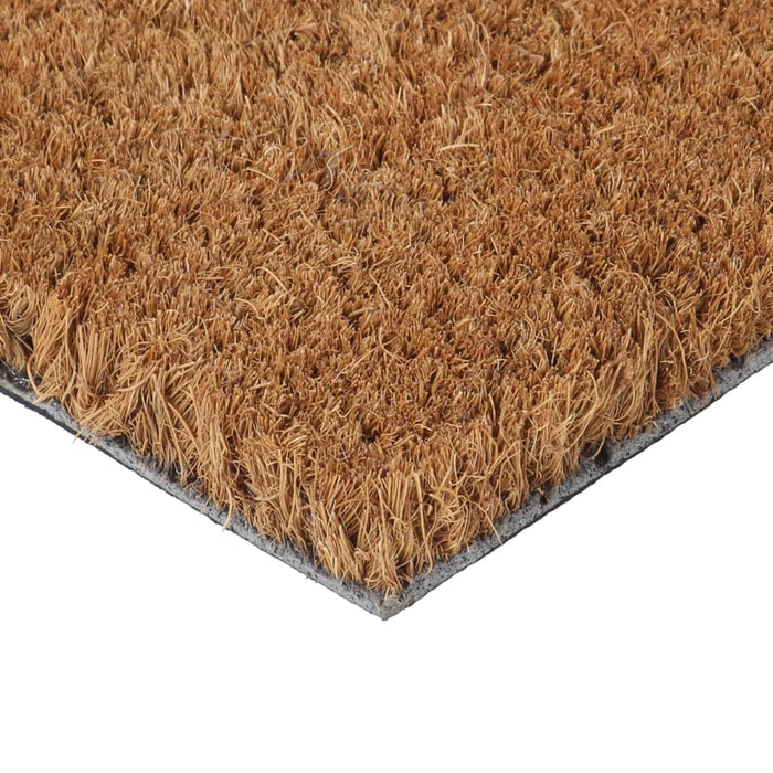 Covoraș de ușă, natural, 45x75 cm, fibre de cocos - WALTI WALTI