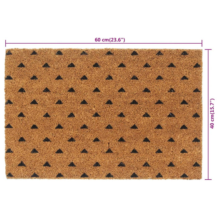 Covoraș de ușă, natural, 40x60 cm, fibre de cocos - WALTI WALTI