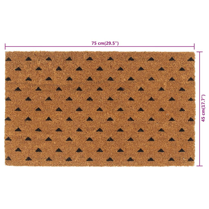 Covoraș de ușă, natural, 45x75 cm, fibre de cocos - WALTI WALTI