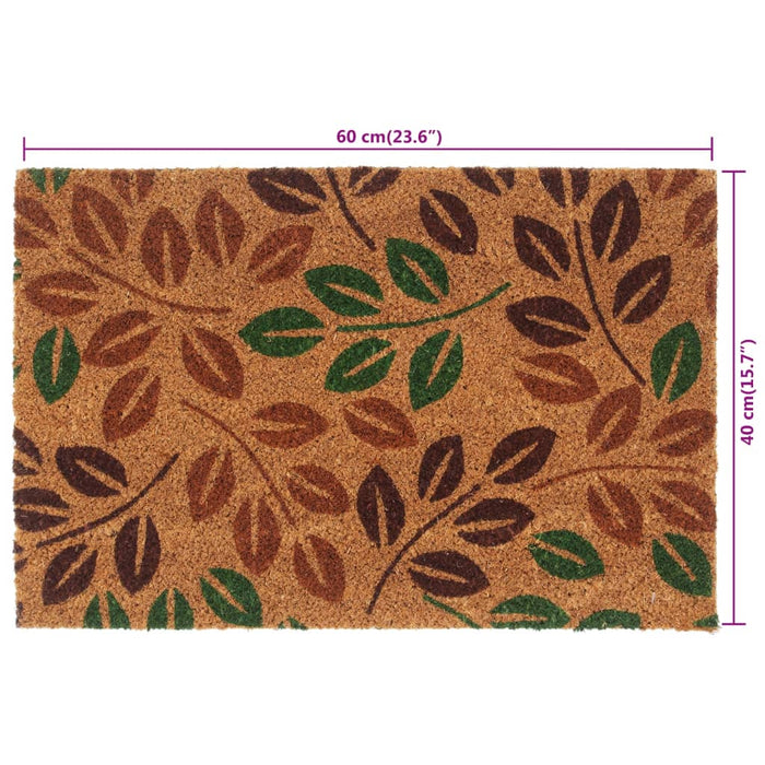 Covoraș de ușă, natural, 40x60 cm, fibre de cocos - WALTI WALTI