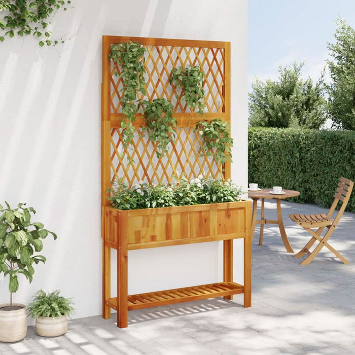 Jardinieră cu spalier/poliță, 100x32x185 cm, lemn masiv acacia - WALTI WALTI
