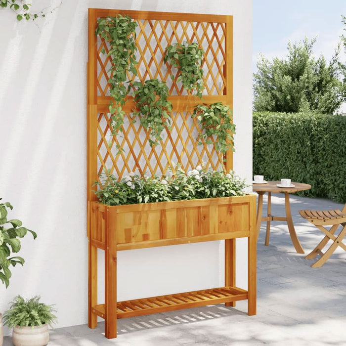 Jardinieră cu spalier/poliță, 100x32x185 cm, lemn masiv acacia - WALTI WALTI