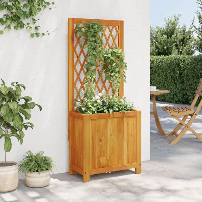 Jardinieră cu spalier, 55x29,5x132 cm, lemn masiv acacia - WALTI WALTI