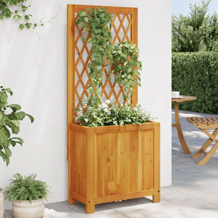 Jardinieră cu spalier, 55x29,5x132 cm, lemn masiv acacia - WALTI WALTI