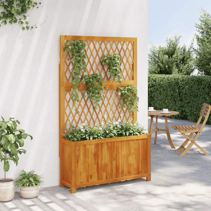 Jardinieră cu spalier, 100x32x165 cm, lemn masiv acacia - WALTI WALTI