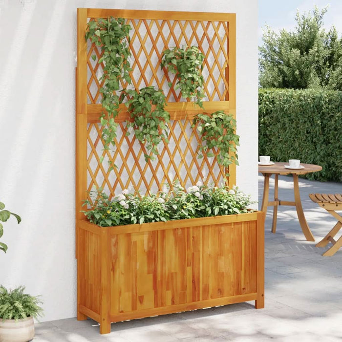 Jardinieră cu spalier, 100x32x165 cm, lemn masiv acacia - WALTI WALTI
