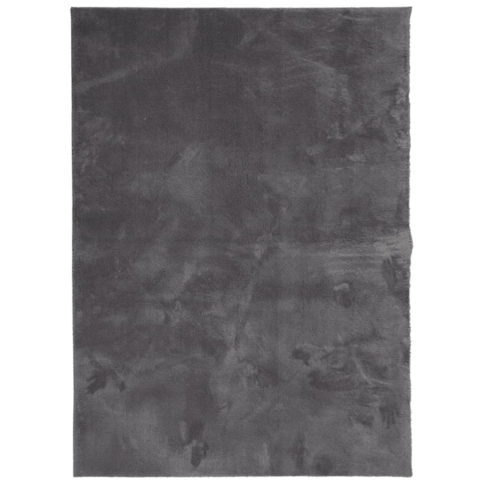 Covor HUARTE, fir scurt, moale și lavabil, antracit, 120x170 cm WALTI