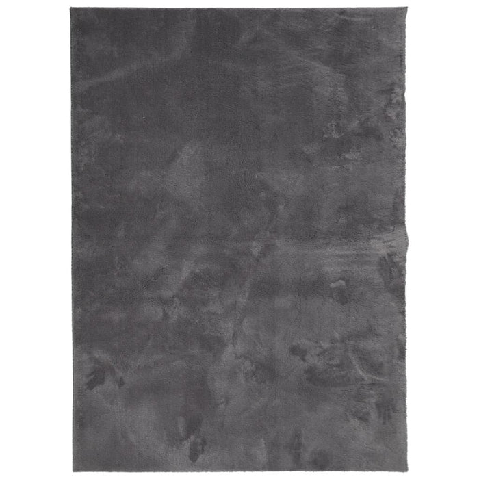Covor HUARTE, fir scurt, moale și lavabil, antracit, 140x200 cm - WALTI WALTI