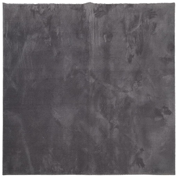 Covor HUARTE, fir scurt, moale și lavabil, antracit, 160x160 cm - WALTI WALTI