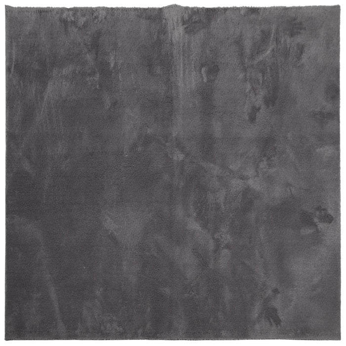 Covor HUARTE, fir scurt, moale și lavabil, antracit, 200x200 cm - WALTI WALTI