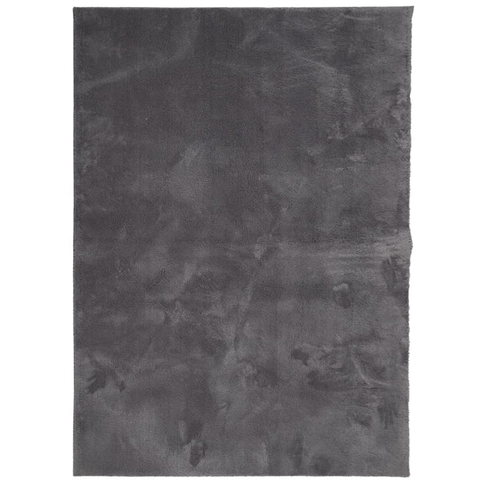 Covor HUARTE, fir scurt, moale și lavabil, antracit, 200x280 cm - WALTI WALTI