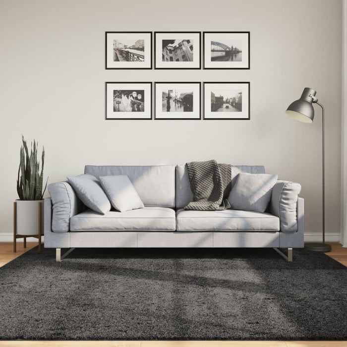 Covor pufos "PAMPLONA" fire înalte antracit modern 200x200 cm WALTI