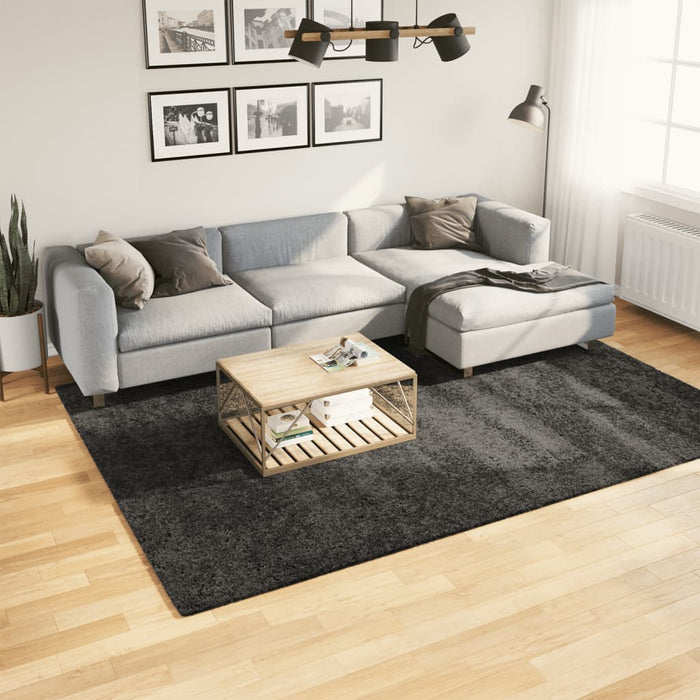 Covor pufos "PAMPLONA" fire înalte antracit modern 200x280 cm WALTI
