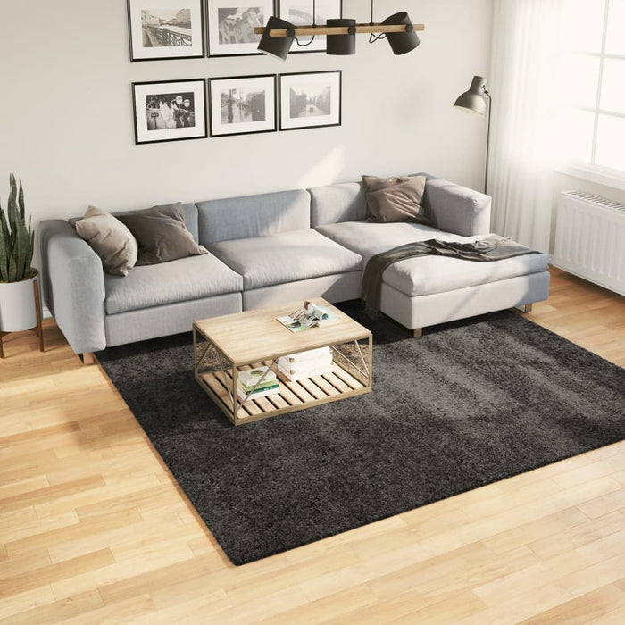 Covor pufos "PAMPLONA" fire înalte antracit modern 240x240 cm WALTI