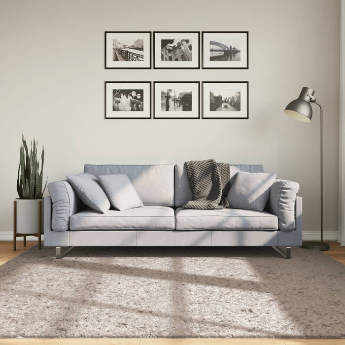 Covor pufos "PAMPLONA" cu fire înalte, bej modern, 200x200 cm WALTI