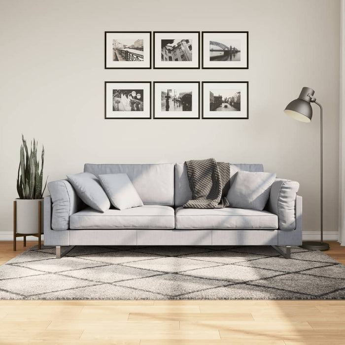 Covor pufos "PAMPLONA" cu fire înalte, bej/antracit, 140x200 cm WALTI