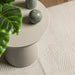 Covor IZA aspect scandinav, cu fire scurte, crem, 200x280 cm - WALTI WALTI