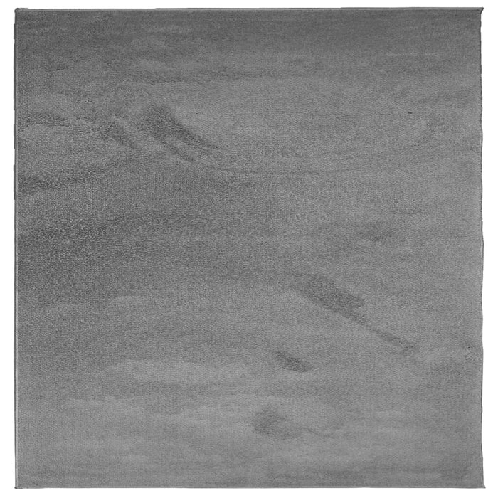 Covor „OVIEDO”, fire scurte, antracit, 160x160 cm WALTI
