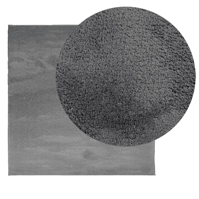 Covor „OVIEDO”, fire scurte, antracit, 160x160 cm WALTI