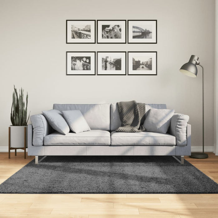Covor „OVIEDO”, fire scurte, antracit, 160x160 cm WALTI