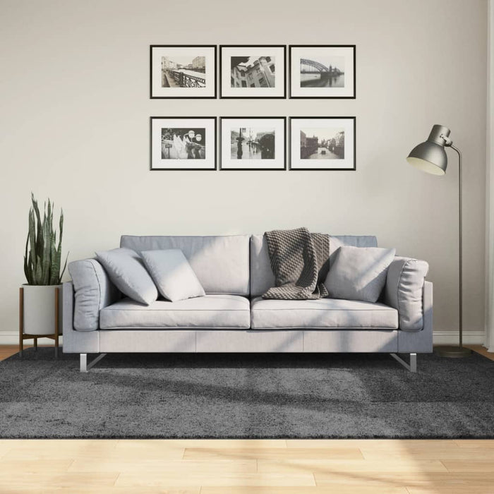 Covor „OVIEDO”, fire scurte, antracit, 160x230 cm - WALTI WALTI