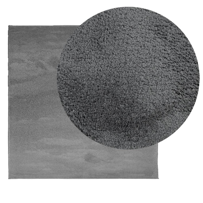 Covor „OVIEDO”, fire scurte, antracit, 200x200 cm WALTI