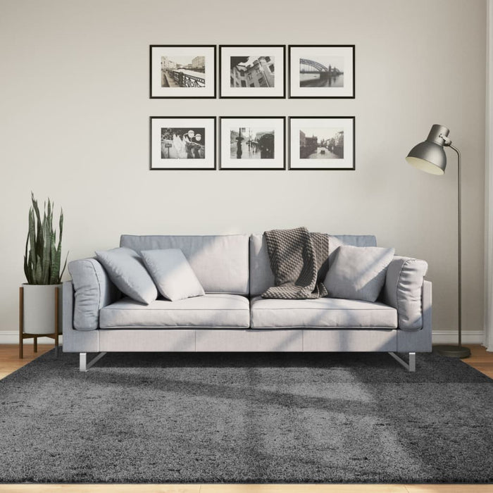 Covor „OVIEDO”, fire scurte, antracit, 200x200 cm WALTI