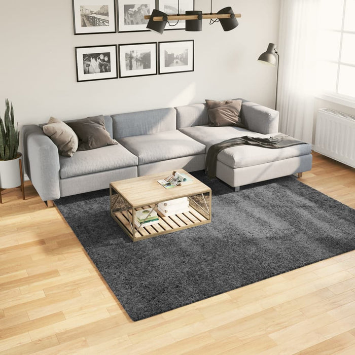 Covor „OVIEDO”, fire scurte, antracit, 240x240 cm - WALTI WALTI