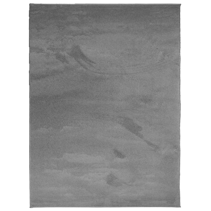 Covor „OVIEDO”, fire scurte, antracit, 240x340 cm - WALTI WALTI