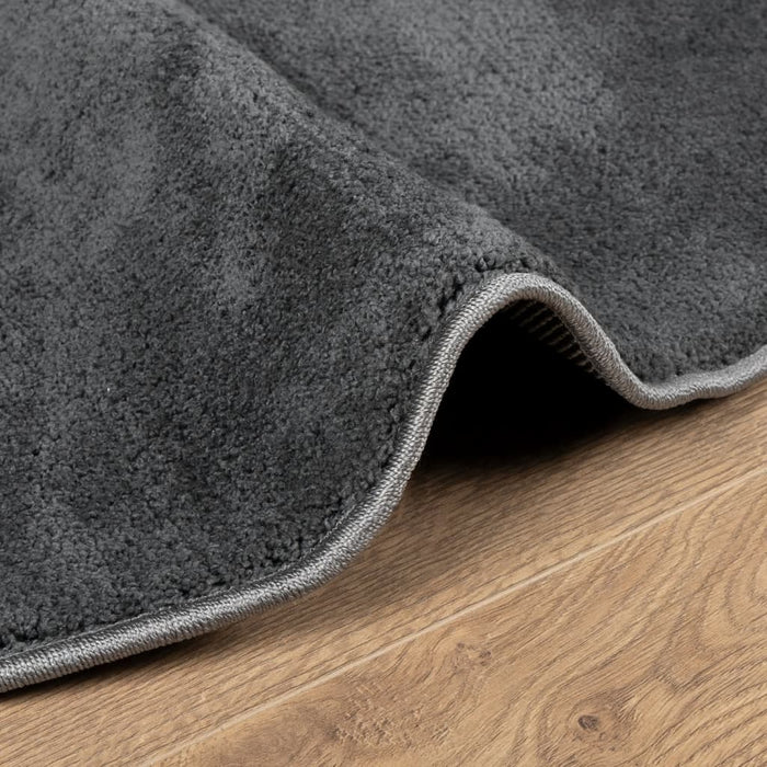 Covor „OVIEDO”, fire scurte, antracit, Ø 160 cm - WALTI WALTI