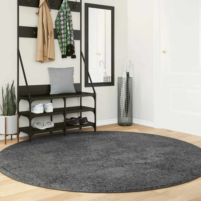 Covor „OVIEDO”, fire scurte, antracit, Ø 200 cm - WALTI WALTI