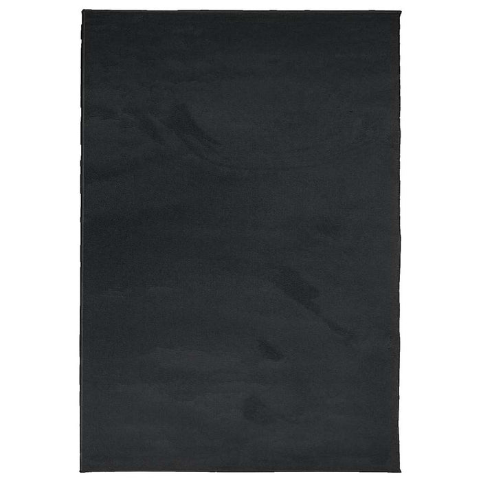 Covor „OVIEDO”, fire scurte, negru, 160x230 cm - WALTI WALTI