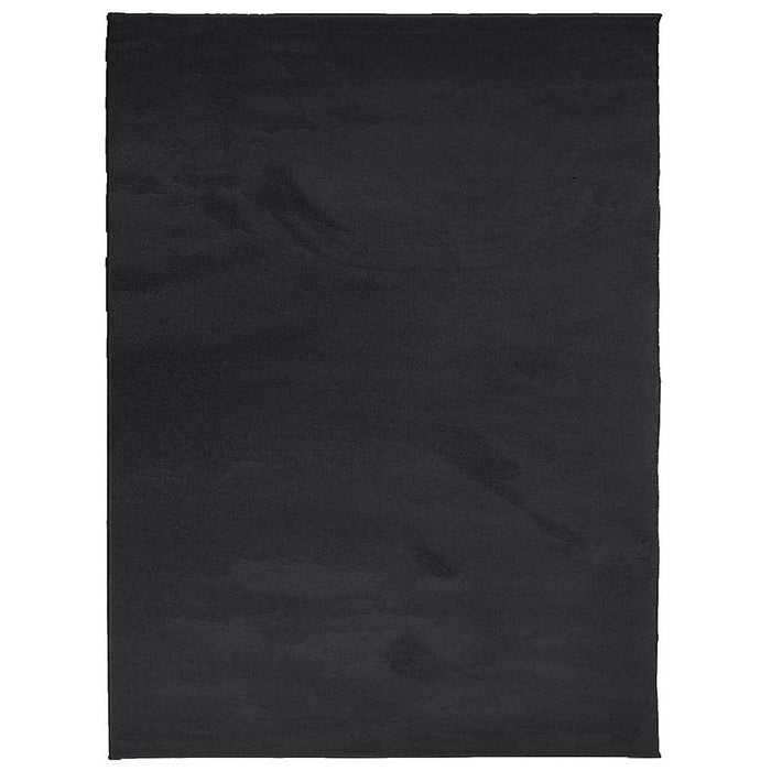 Covor „OVIEDO”, fire scurte, negru, 240x340 cm - WALTI WALTI
