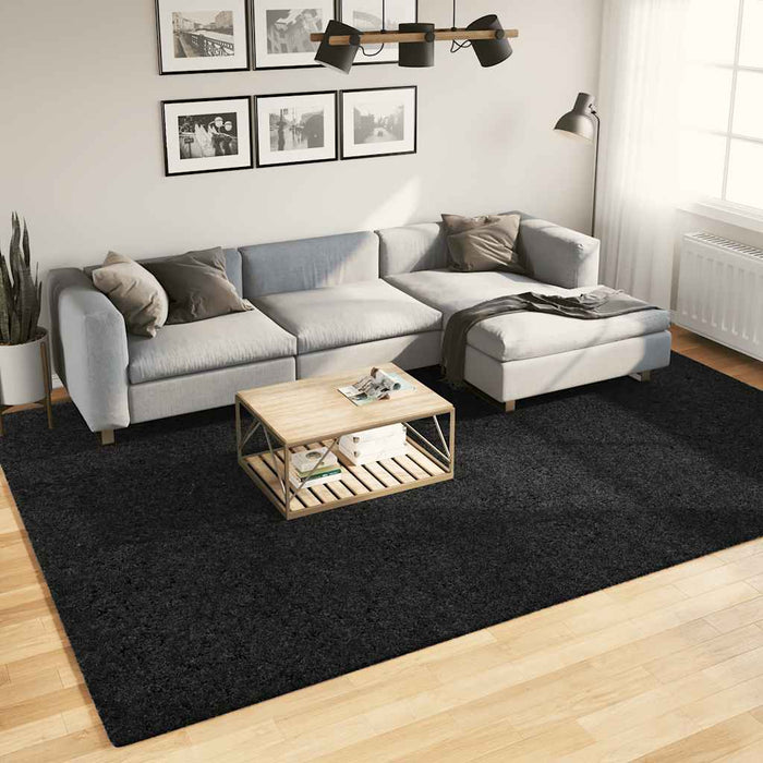 Covor „OVIEDO”, fire scurte, negru, 240x340 cm - WALTI WALTI