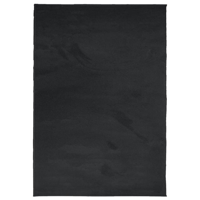 Covor „OVIEDO”, fire scurte, negru, 300x400 cm WALTI