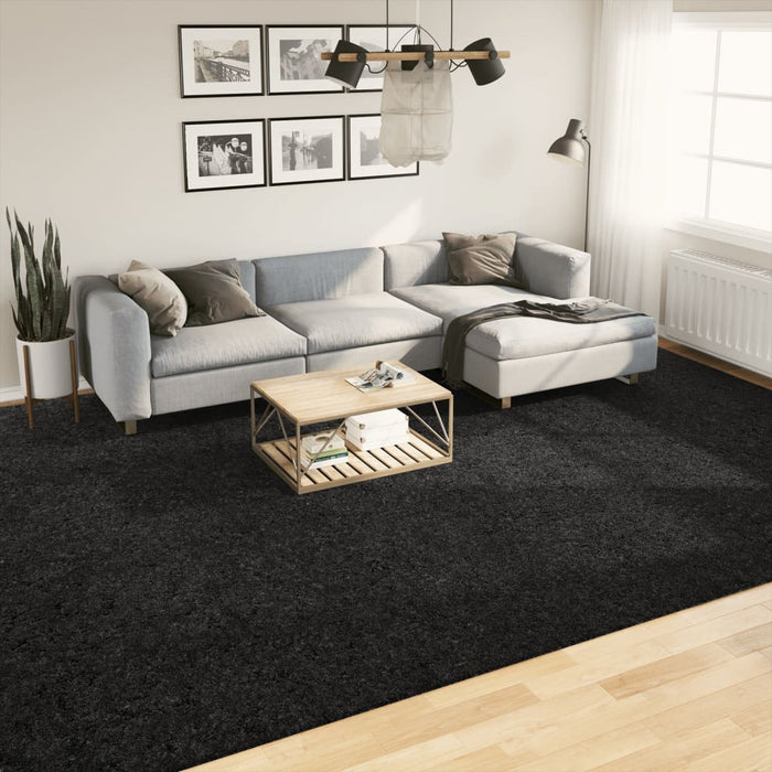 Covor „OVIEDO”, fire scurte, negru, 300x400 cm WALTI
