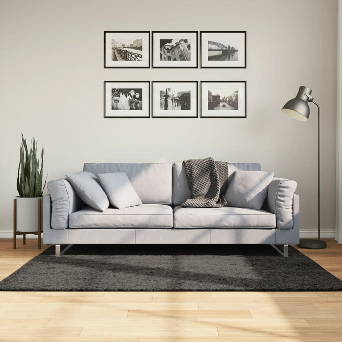Covor ISTAN, cu fire înalte, aspect lucios, antracit, 120x170cm - WALTI WALTI