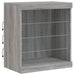 Servantă cu lumini LED, gri sonoma, 60,5x37x67 cm - WALTI WALTI