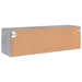 Comodă TV de perete, gri beton, 100x30x30 cm, lemn prelucrat - WALTI WALTI