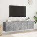 Comodă TV de perete, 2 buc. gri beton, 80x30x41 cm - WALTI WALTI