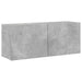 Comodă TV de perete, gri beton, 100x30x41 cm - WALTI WALTI
